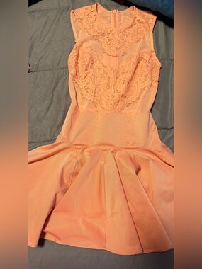 bebe Satin Peach Dress with Lace Bodice